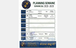 programme du 19/10 au 25/10/2026