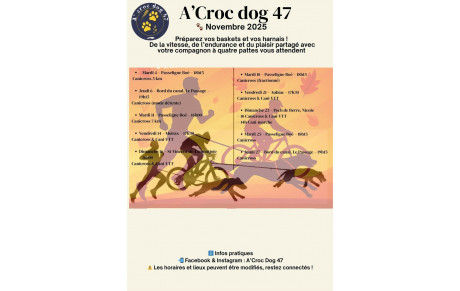 programme Novembre 2025