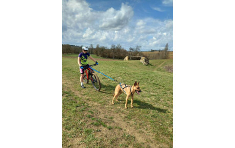 Cani VTT