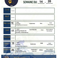 Planning semaine du 14 au 20/09/2026