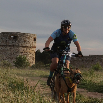 cani vtt