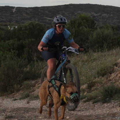 cani vtt