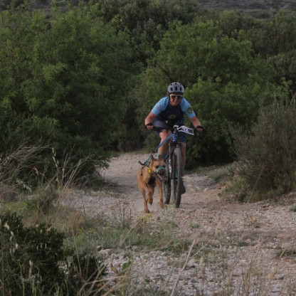 cani vtt
