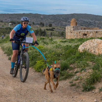 cani vtt