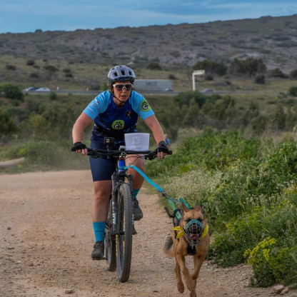 cani vtt
