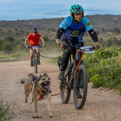 cani vtt