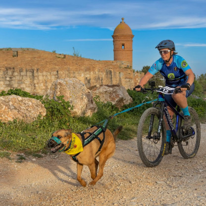 cani vtt